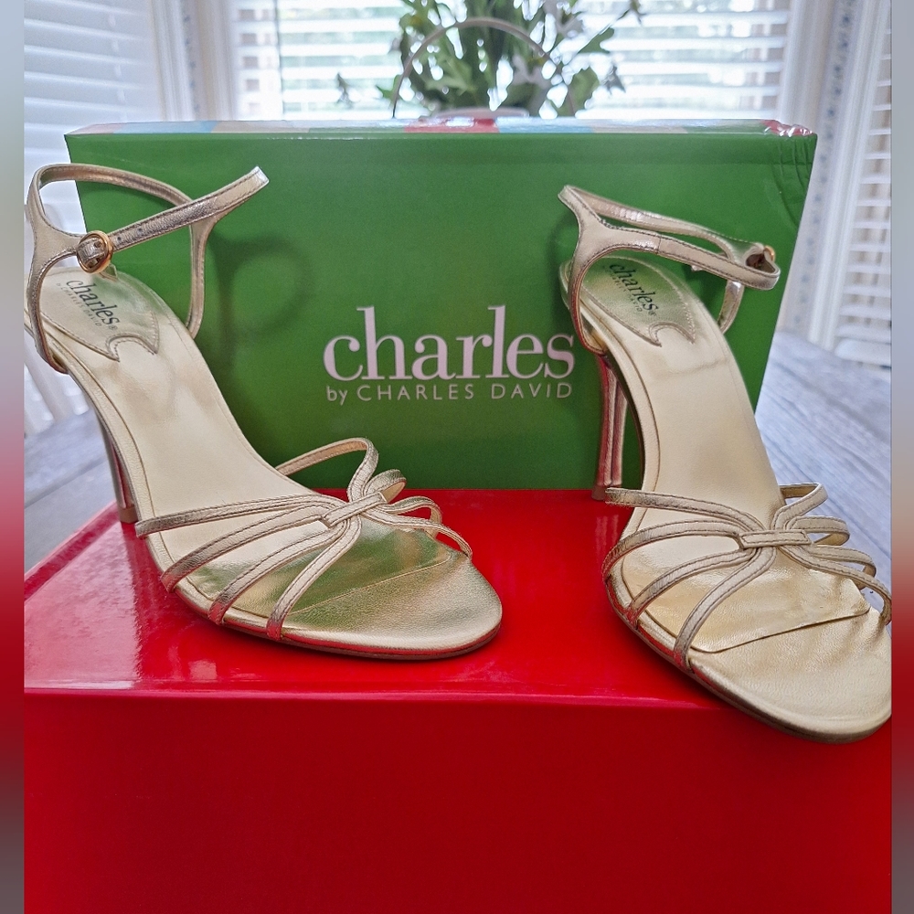 Charles by Charles David